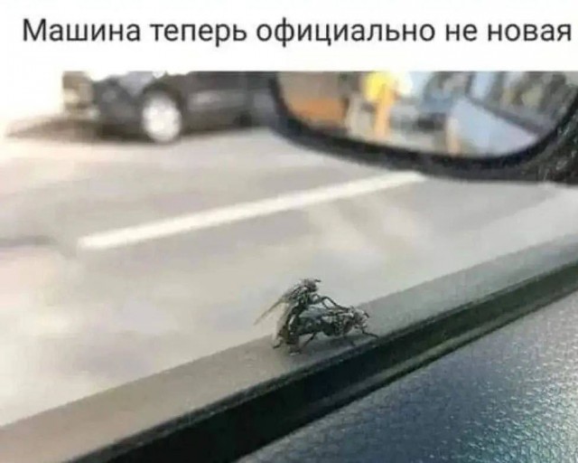 clacuu4igdgkiqia7v40.jpeg