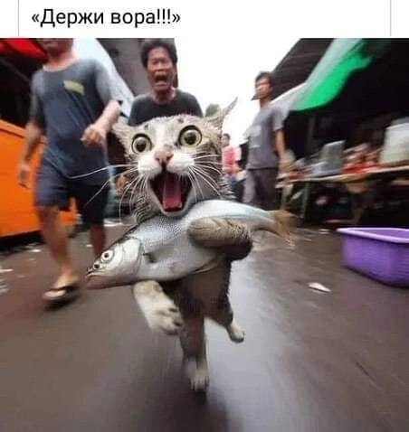 clapklcigdgkiqia80k0.jpeg