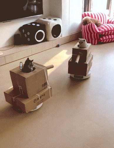 clpb6rkigdggb4vcjj30.gif