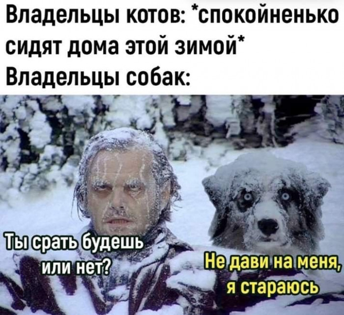 clu5bncigdgv9l1rb0hg.jpeg