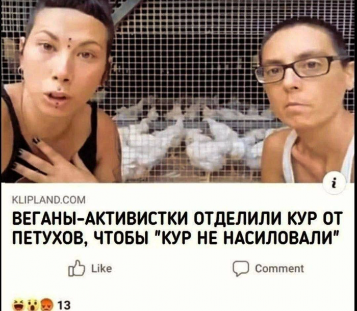 clv4754igdgj2qq40n60.png
