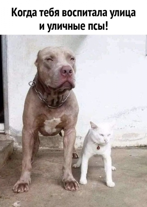 cm5n1jcigdgi5h4e4em0.png