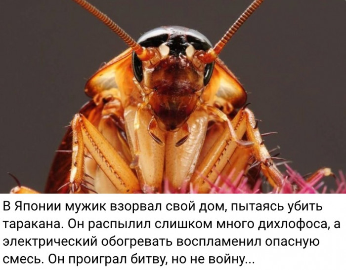 cm79hmcigdgr4hcdrit0.jpeg