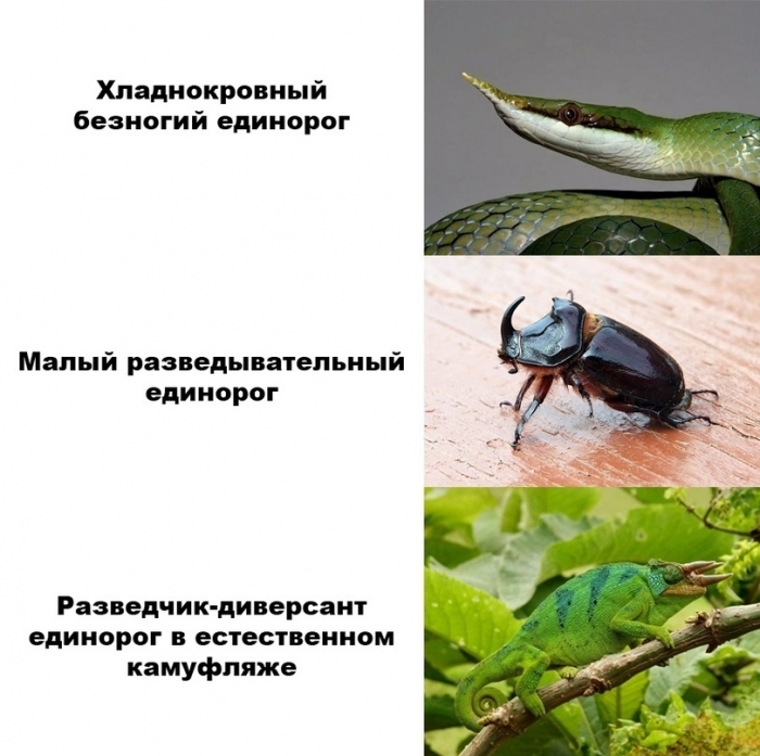 cmf7ko4igdgmvn9da970.png