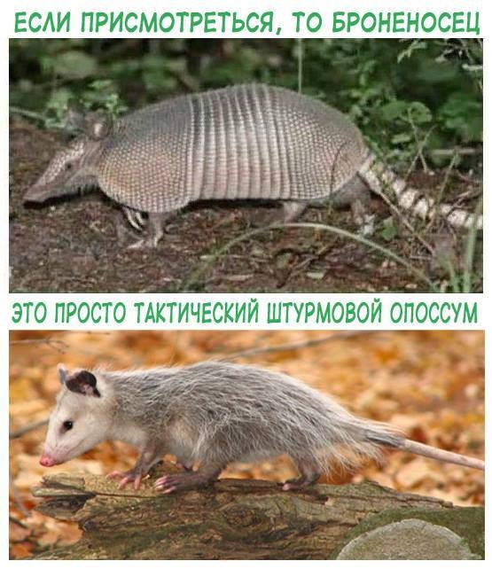 cmf75vsigdgmvn9da93g.jpeg