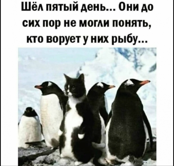 cmlorhsigdgv8kqjfl40.png