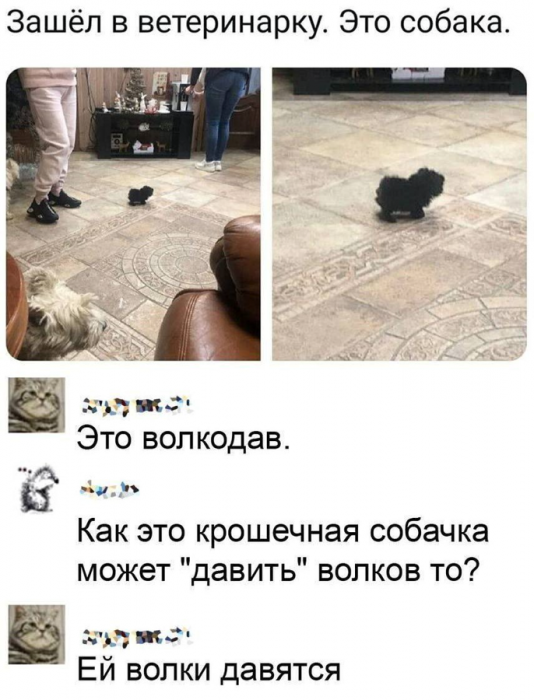 cmlmmgsigdgv8kqjfkt0.png