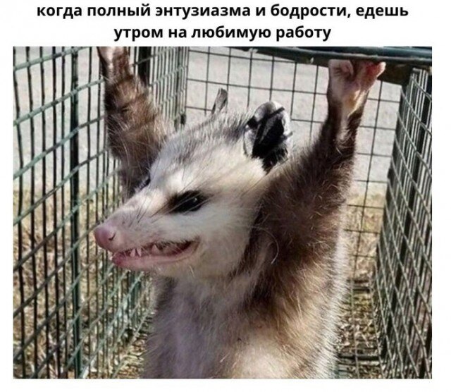 cmnk244igdgkktp43emg.jpeg