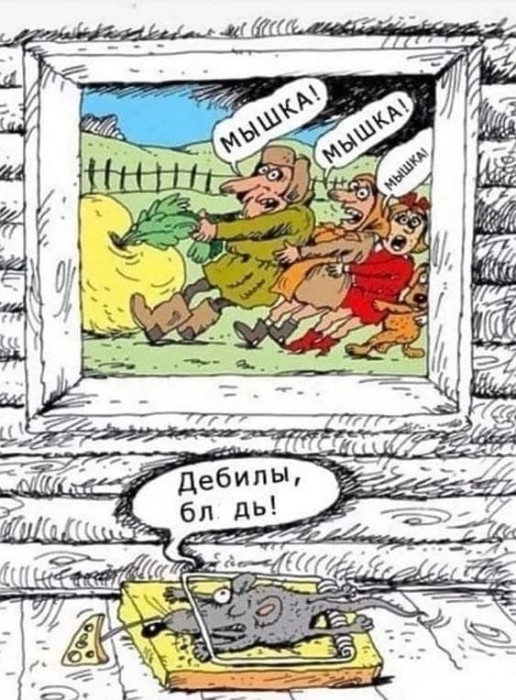 cmroalsigdgg4gfa47dg.jpeg