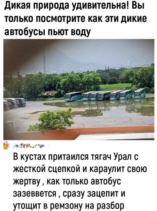 cmvl8qcigdgr7ps6ogn0.png