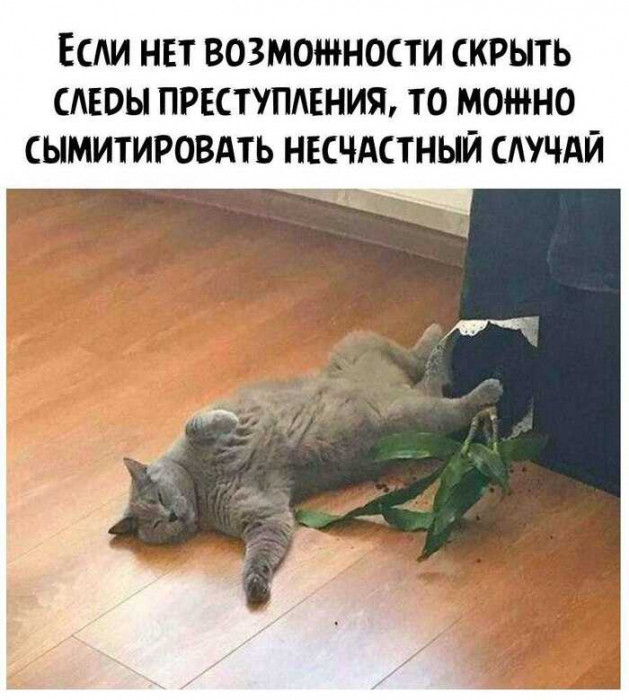 1707788049263.jpg