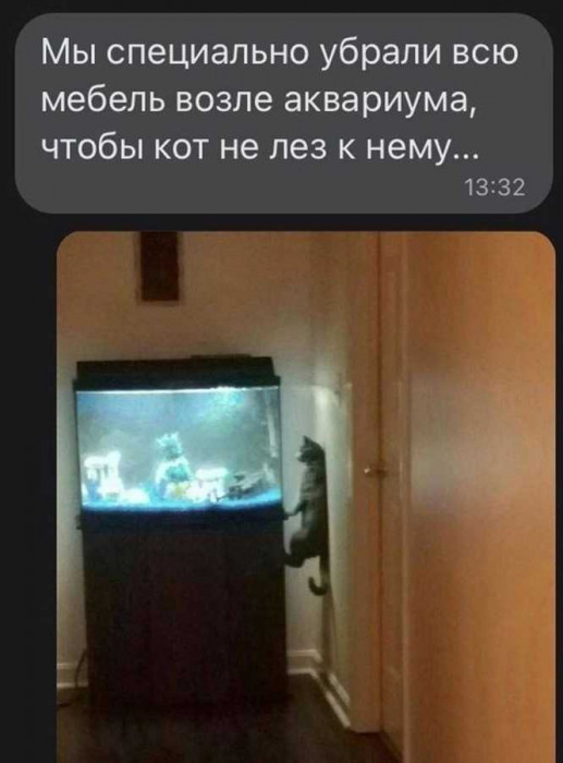 1707788022700.jpg