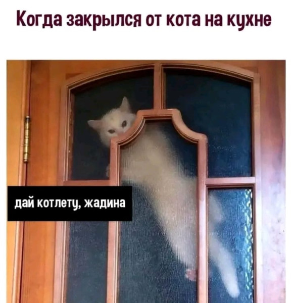 cn99p64igdgjufmhsf6g.png