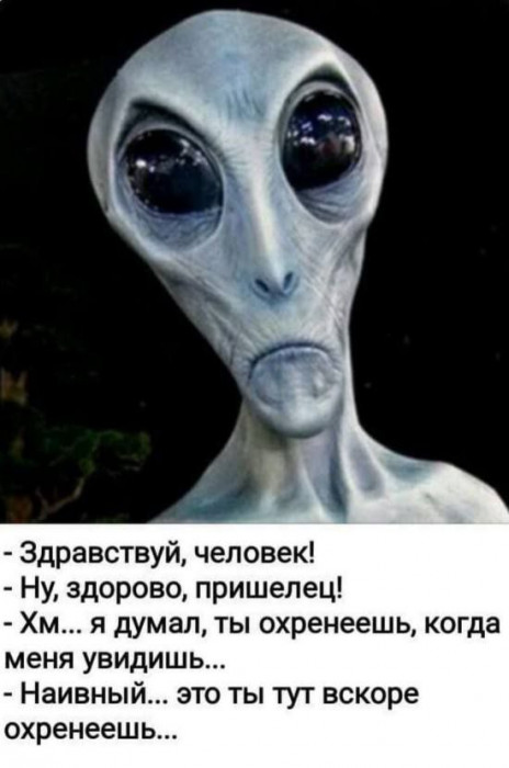 cn8vcosigdgjufmhsdhg.jpeg