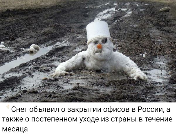 cng1m1kigdglr76uoreg.jpeg