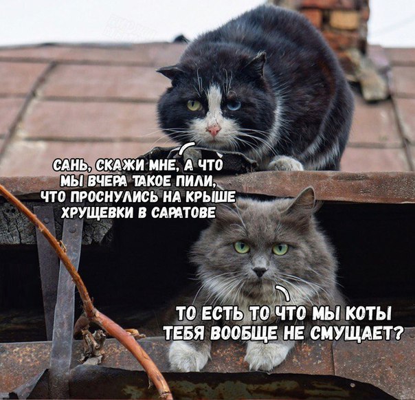 cngsejcigdgubqs5pj7g.jpeg