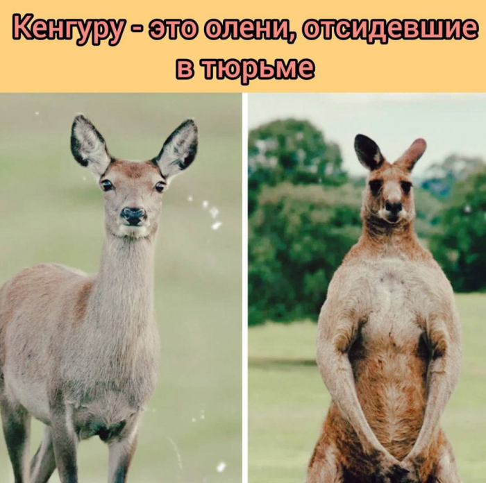 cnkqefcigdgm7uufs4kg.png