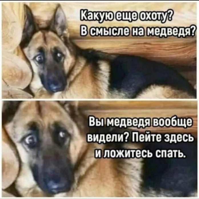 собакен.jpg