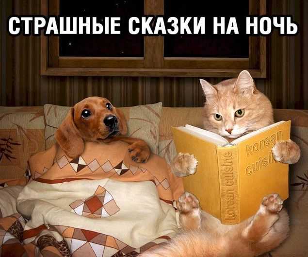 1710763079781.jpg