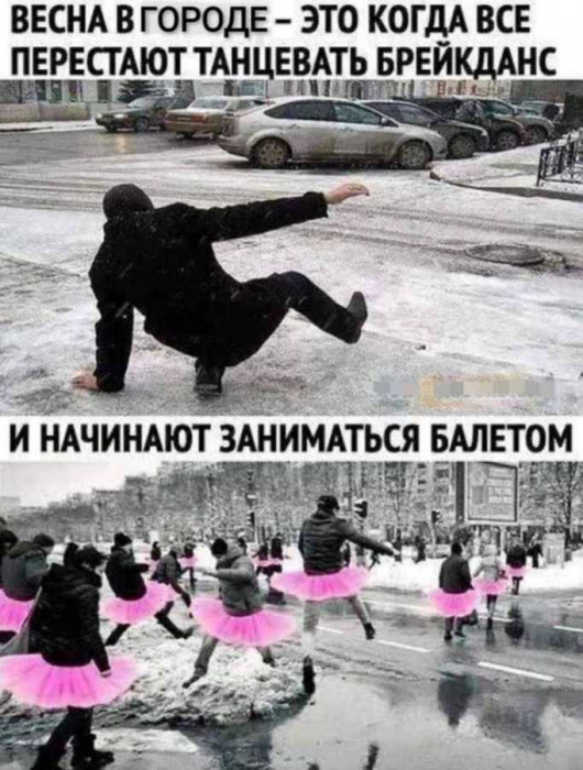 1710937795107.jpg