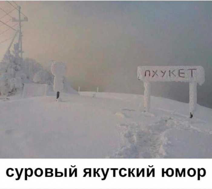 1711262096996.jpg