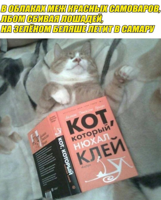 01_04.jpg