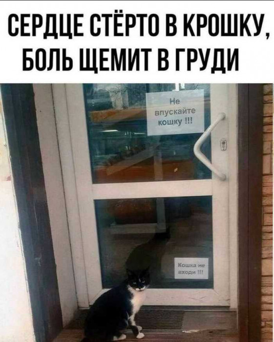 1712283437300.jpg