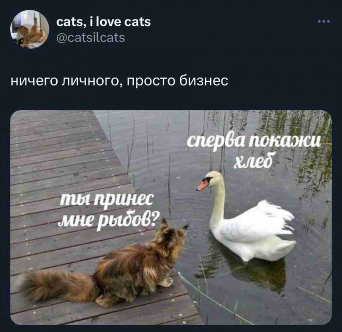 1713879202685.jpg