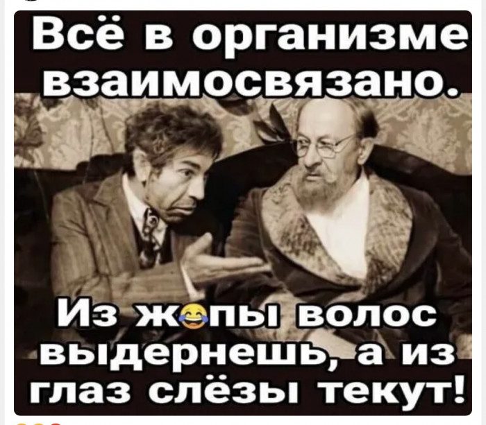 IMG_0904.jpeg