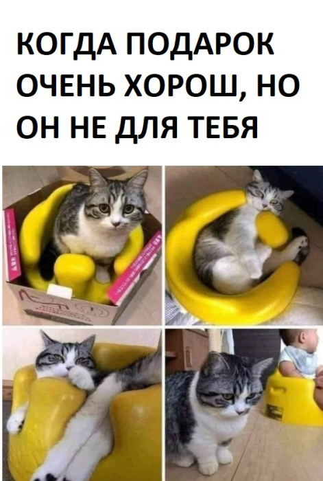 cp9ghs4igdgs2d7qlve0.png