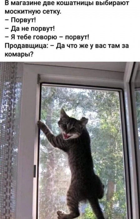 01_09.jpg