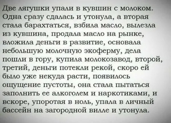 wsspWsT0P6OmxhbrOR_P2hl7r80-960.jpg
