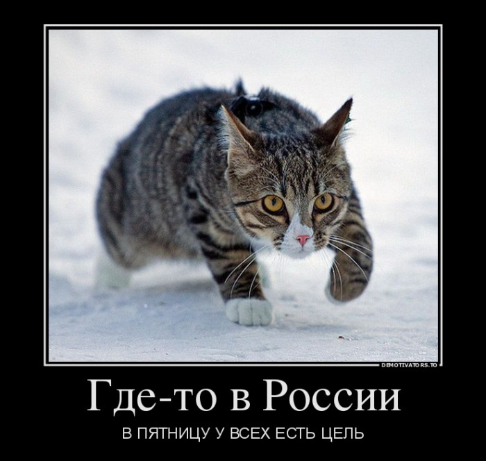 375026_900.jpg
