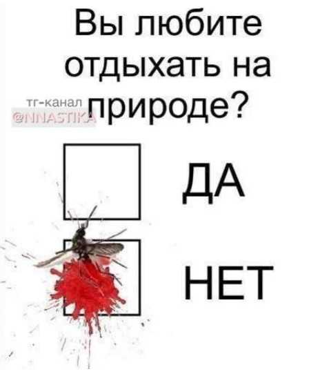 cq0k1h4igdgmh33g1070.jpeg