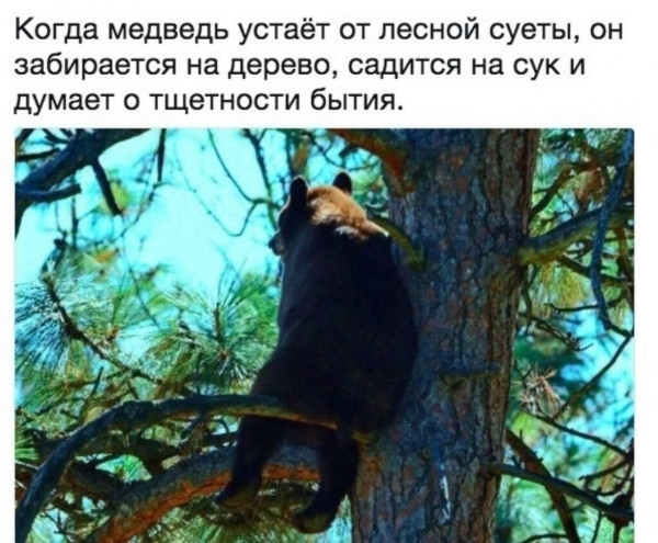 cqel3ekigdgqiapgd110.png
