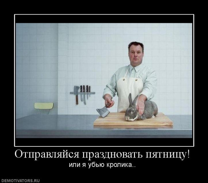 1299811867_demo-2.jpg