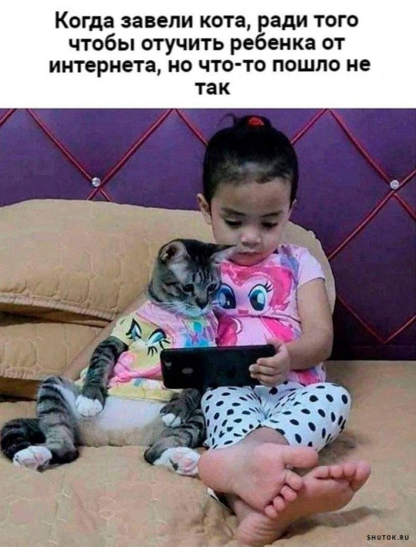 cqsf1akigdgnsp2blga0.png