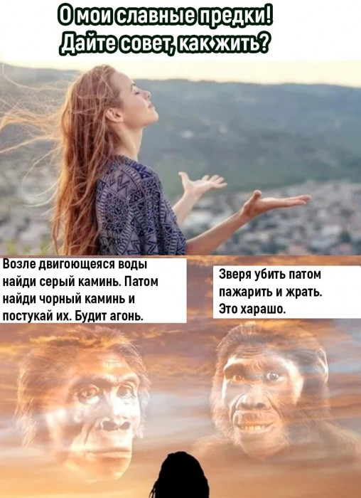 cquuc2sigdgkok9mgqd0.jpg
