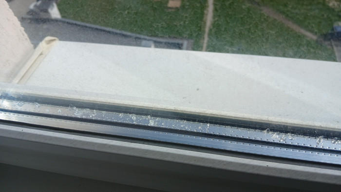 20240818_120753.jpg