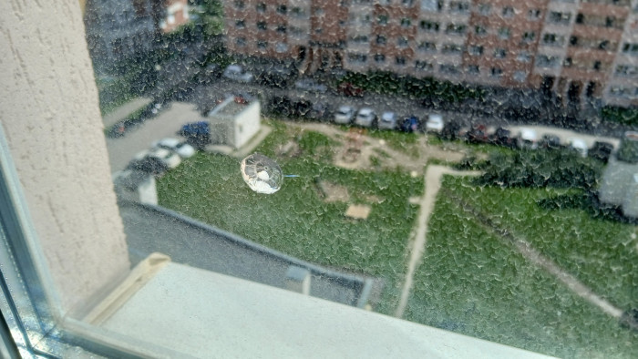 20240818_120750.jpg