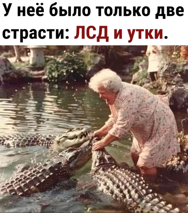 cro07fcigdgifknm2se0.png