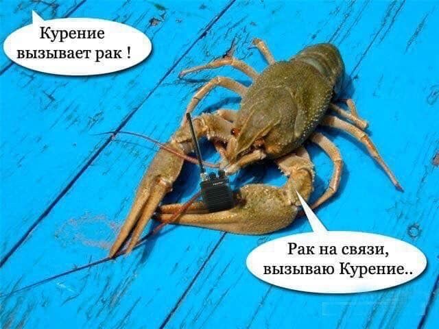 cs4g9qcigdgm4jm27rvg.jpeg