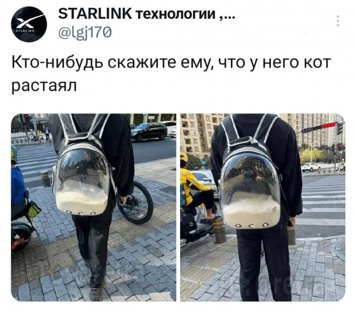 cs4un04igdgm4jm27utg.jpeg