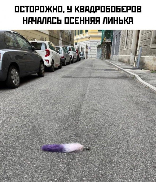 2024.jpg
