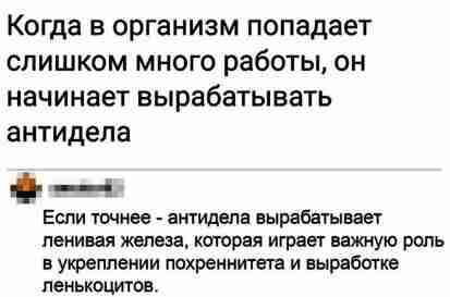 csb31g4igdgqko9s8800.jpeg