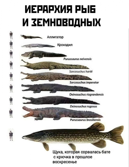 cse9nbkigdgq37tqhu1g.png