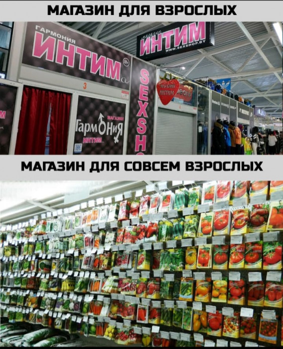 csgvv9cigdgkr2l2vn7g.jpeg