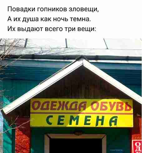 csgtd54igdgkr2l2vmmg.jpeg