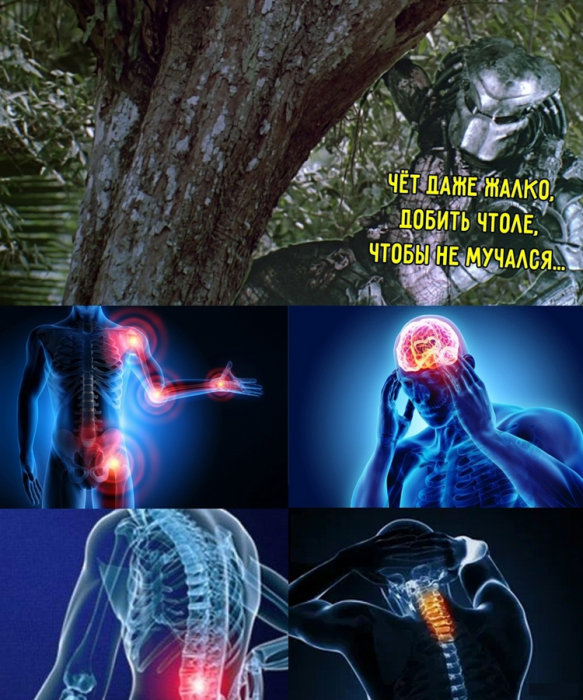 csgdjfsigdgq6sd38630.png