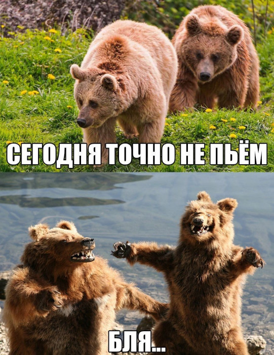 1652638963_40-kartinkof-club-p-v-subbotu-bukhaem-kartinki-42.jpg
